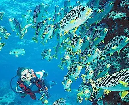 Magnific Sea View Alvor